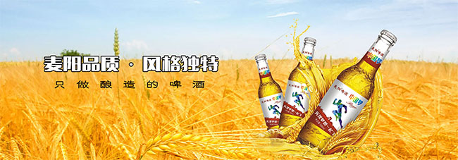 麦阳啤酒全国总代理，麦阳啤酒招商吗? 